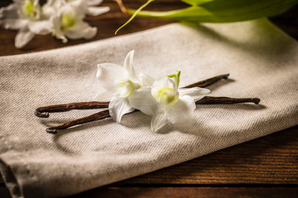 Vanilla Breeze Candle-Toasted Sugarcane & Buttery Vanilla