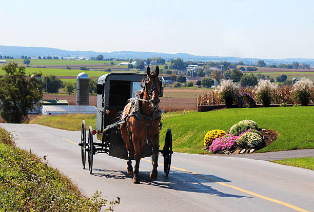 Amish Country Destination Candle- Cinnamon & Spice Cake