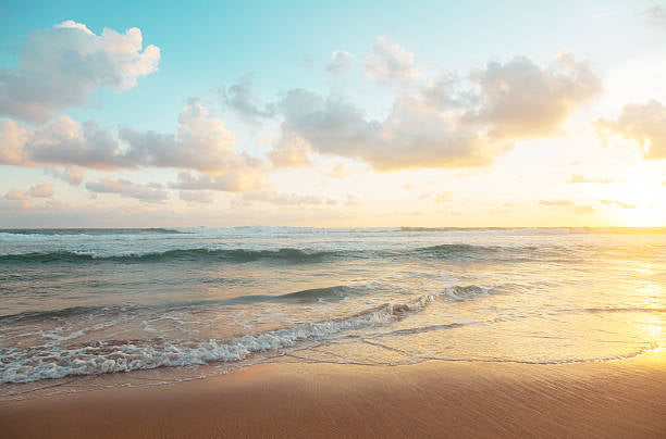 Beach Escape Summer Candle-Fresh Orange & Jasmine