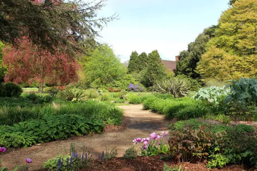 Sage & Cypress Freshie Air Freshener-Bergamot, Sage, Cypress, & Palo Santo